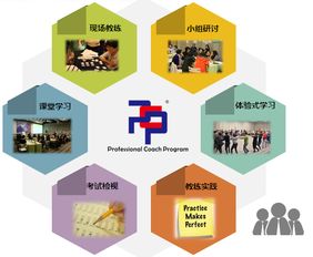 想成為企業青睞的教練？這門網絡技術認證課不容錯過