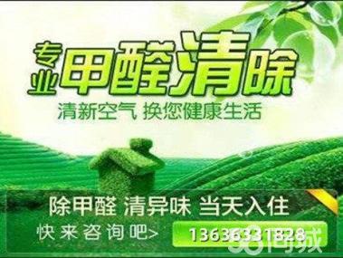 母嬰甲醛治理服務(wù)工裝家裝除甲醛工廠,空氣凈化提供甲醛檢測(cè)、汽車除醛、甲醛治理/除甲醛服務(wù)